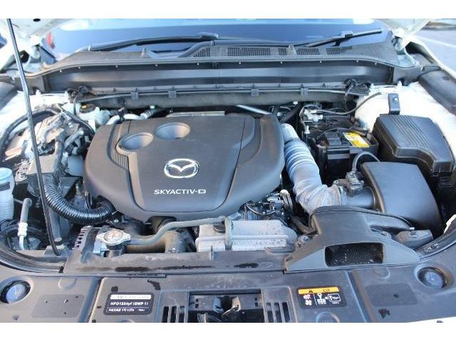 同業者様への販売はお断りさせていただきます。 車検無し車両の場合は、車検を取得したお支払い総額で表示しております。