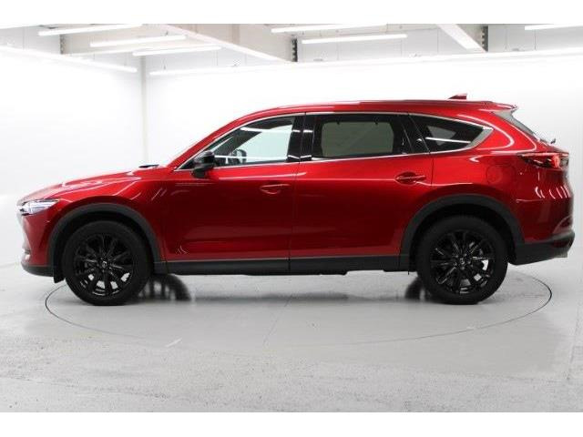 ���Ǝҗl�ւ̔̔��͂��f�肳���Ă��������܂��B �Ԍ������ԗ��̏ꍇ�́A�Ԍ����擾�������x�������z�ŕ\�����Ă���܂��B