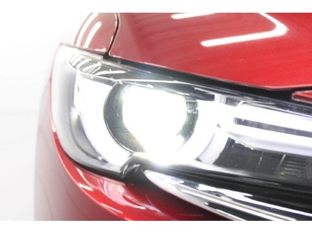 ���Ǝҗl�ւ̔̔��͂��f�肳���Ă��������܂��B �Ԍ������ԗ��̏ꍇ�́A�Ԍ����擾�������x�������z�ŕ\�����Ă���܂��B