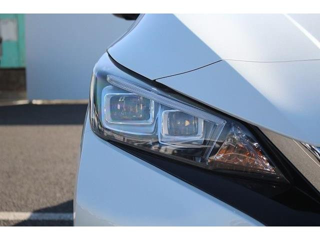 ���Ǝҗl�ւ̔̔��͂��f�肳���Ă��������܂��B �Ԍ������ԗ��̏ꍇ�́A�Ԍ����擾�������x�������z�ŕ\�����Ă���܂��B