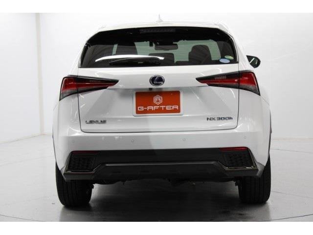 ���Ǝҗl�ւ̔̔��͂��f�肳���Ă��������܂��B �Ԍ������ԗ��̏ꍇ�́A�Ԍ����擾�������x�������z�ŕ\�����Ă���܂��B