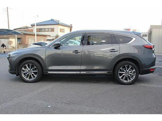 ���Ǝҗl�ւ̔̔��͂��f�肳���Ă��������܂��B �Ԍ������ԗ��̏ꍇ�́A�Ԍ����擾�������x�������z�ŕ\�����Ă���܂��B