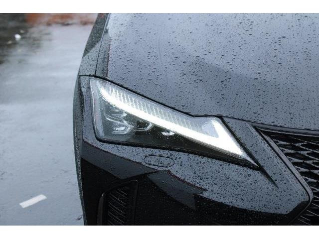 ���Ђ͂��������j�b�Z�C���a���ۑ㗝�X�ł��B�S�c�ƎЈ����ی��̕�W�l���i���擾���Ă���܂��B���C�y�ɂ����k���������B