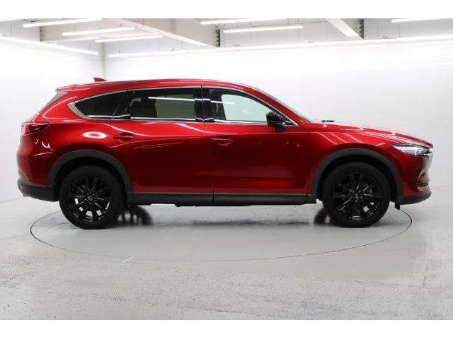 ���Ǝҗl�ւ̔̔��͂��f�肳���Ă��������܂��B �Ԍ������ԗ��̏ꍇ�́A�Ԍ����擾�������x�������z�ŕ\�����Ă���܂��B