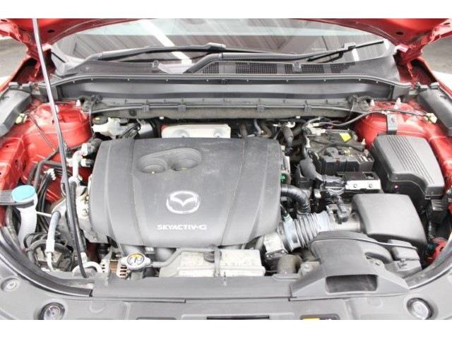 ���Ǝҗl�ւ̔̔��͂��f�肳���Ă��������܂��B �Ԍ������ԗ��̏ꍇ�́A�Ԍ����擾�������x�������z�ŕ\�����Ă���܂��B