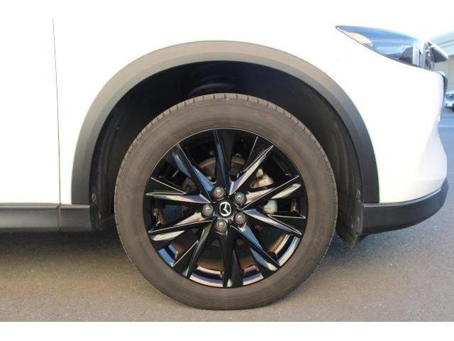 同業者様への販売はお断りさせていただきます。 車検無し車両の場合は、車検を取得したお支払い総額で表示しております。