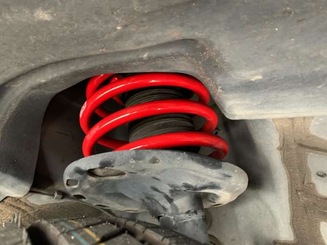 �V�i�^�i�x���[�_�E���T�X�t��!!