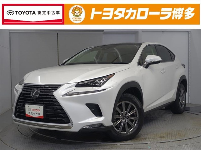 NX300 Iパッケージ