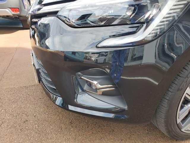 ルーテシアインテンス