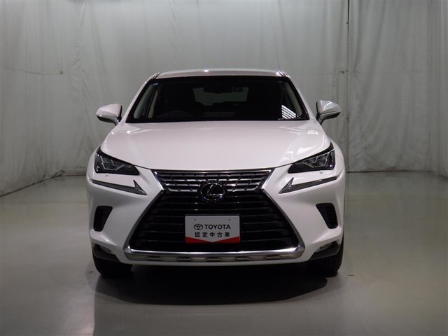 NX300 バージョンL