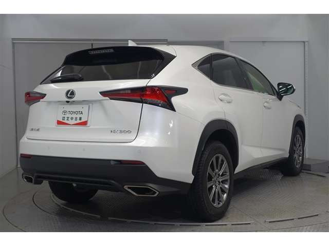 NX300 Iパッケージ