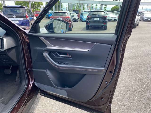 �h�A�����傫���J�����ߎg���₷���ł�!