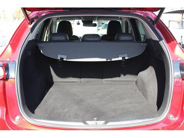 ���Ǝҗl�ւ̔̔��͂��f�肳���Ă��������܂��B ���X�����ŒʐM�̔�����]�̂��q�l�����}�������܂��B�Ԍ������ԗ��̏ꍇ�́A�Ԍ����擾�������x�������z�ŕ\�����Ă���܂��B