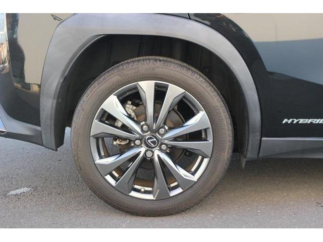 ���Ǝҗl�ւ̔̔��͂��f�肳���Ă��������܂��B�Ԍ������ԗ��̏ꍇ�́A�Ԍ����擾�������x�������z�ŕ\�����Ă���܂��B