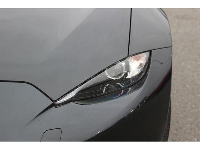 ���Ǝҗl�ւ̔̔��͂��f�肳���Ă��������܂��B �Ԍ������ԗ��̏ꍇ�́A�Ԍ����擾�������x�������z�ŕ\�����Ă���܂��B