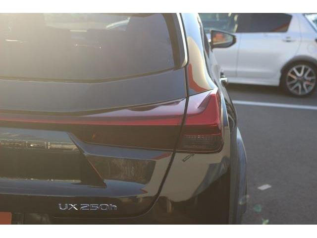 ���Ǝҗl�ւ̔̔��͂��f�肳���Ă��������܂��B�Ԍ������ԗ��̏ꍇ�́A�Ԍ����擾�������x�������z�ŕ\�����Ă���܂��B