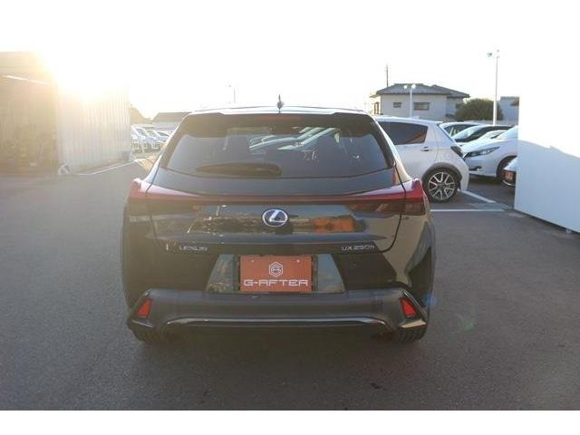 ���Ǝҗl�ւ̔̔��͂��f�肳���Ă��������܂��B�Ԍ������ԗ��̏ꍇ�́A�Ԍ����擾�������x�������z�ŕ\�����Ă���܂��B