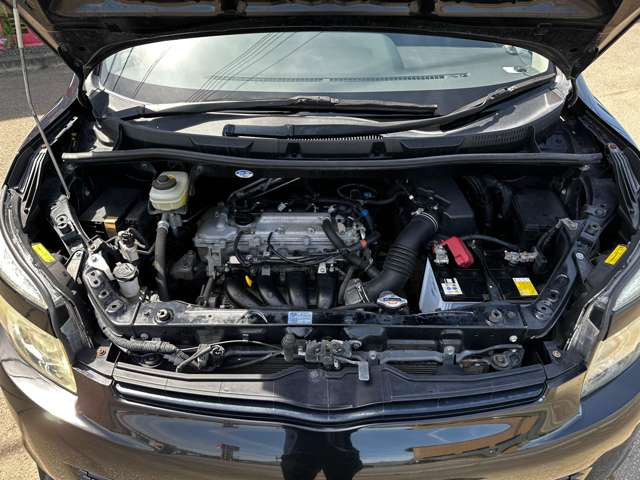 ���|�ς݂Ŕ��ɂ��ꂢ�ł���!!