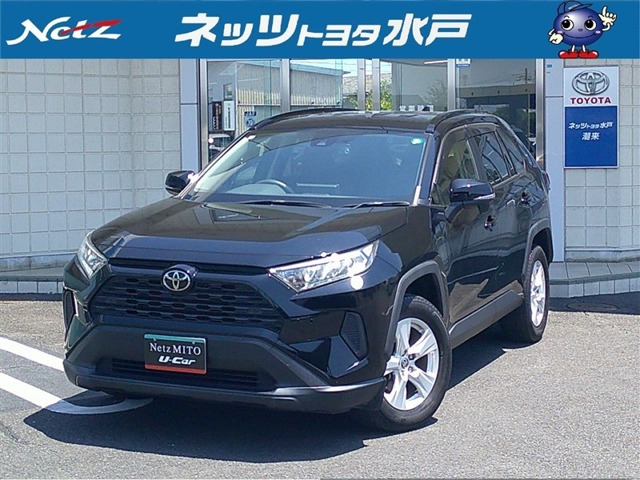 RAV42.0 X