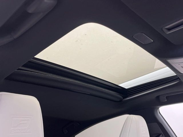 �y���[�����[�t�z�J���������Ղ�̊󏭑����A�T�����[�t����������Ă��܂�!�ԓ��ɖ�����������ꂽ��i�F���y���ވȊO�ɂ��A�ԓ��̋�C���ȒP�Ɋ��C�ł��ĉ��K�ł�!