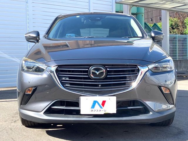 �����K�ȃJ�[���C�t�����߂��������������߁A�C�����Ԃ͔̔��������܂���B���̂��ߓ��Ɍ�ɓO��I�Ƀ`�F�b�N���A�N���A�����N���}�݂̂�X���ɓW�����Ă���܂��B