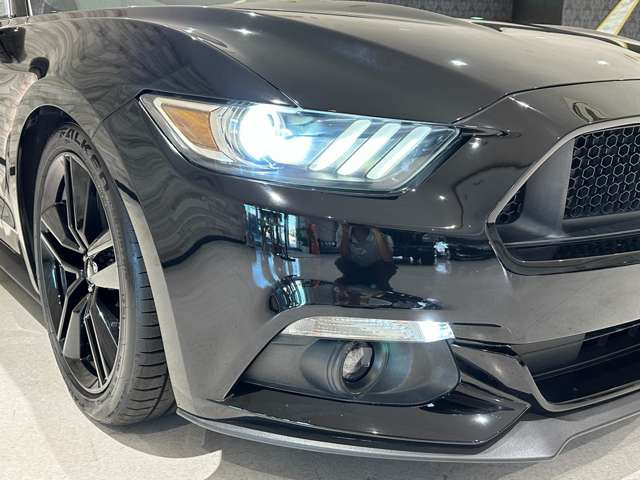 �y�S���[�ԉz�ꕔ�����������A�S�����[�ԑΉ����Ă���܂��B�k�C�����牫��܂ŁA��g������ЂɂĂ��͂��������܂��B