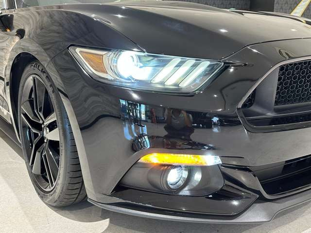 �d��:�����A�[�o���p�[�N���C�����؍�w���k����5��&rArr;