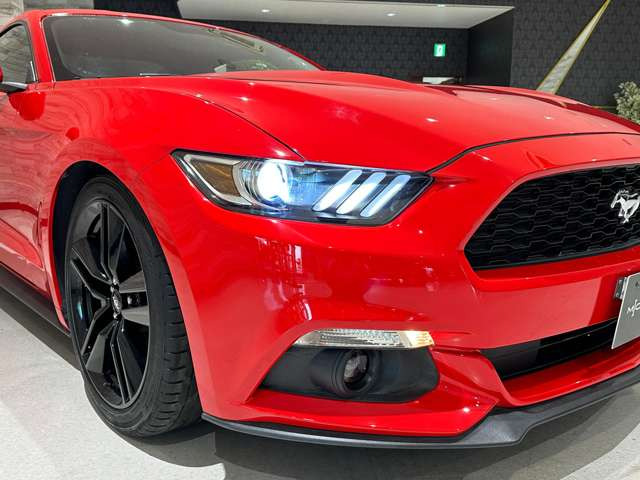 �y�S���[�ԉz�ꕔ�����������A�S�����[�ԑΉ����Ă���܂��B�k�C�����牫��܂ŁA��g������ЂɂĂ��͂��������܂��B