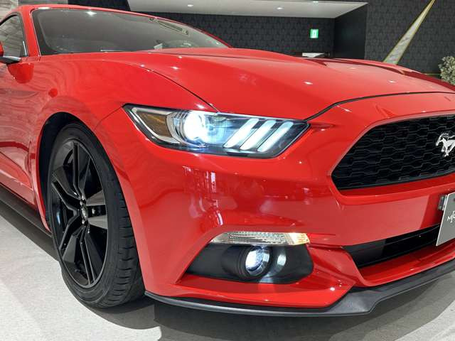 �y�A�N�Z�X�z����:���k�����ԓ����IC��荑��16���ɂďt�����E��c���ʂ֖�15���B