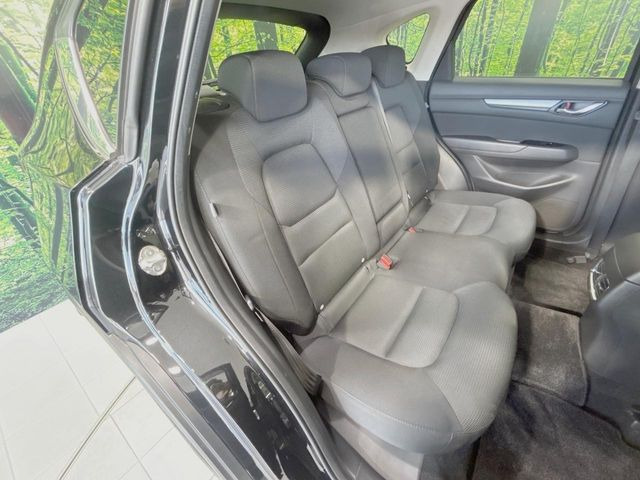 �㕔���Ȃ��C�ɂȂ�悤�ȃL�Y�E�����ւ��蓙�A�傫�ȃ_���[�W�͂Ȃ��A�ǍD�ȏ�Ԃł��B