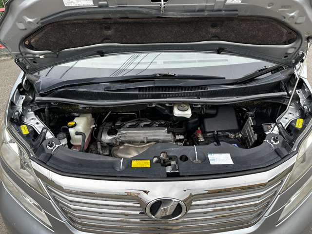 ���|�ς݂Ŕ��ɂ��ꂢ�ł���!!