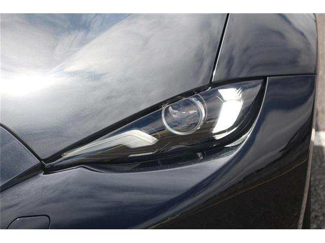 ���Ǝҗl�ւ̔̔��͂��f�肳���Ă��������܂��B �Ԍ������ԗ��̏ꍇ�́A�Ԍ����擾�������x�������z�ŕ\�����Ă���܂��B