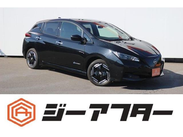 リーフムーン 日産 リーフ 2017年モデル Xの価格・性能・装備・オプション（2017年10