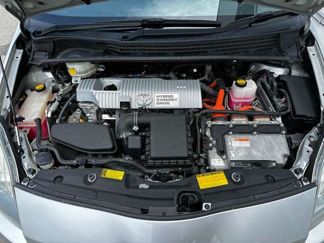 ���|�ς݂Ŕ��ɂ��ꂢ�ł���!!