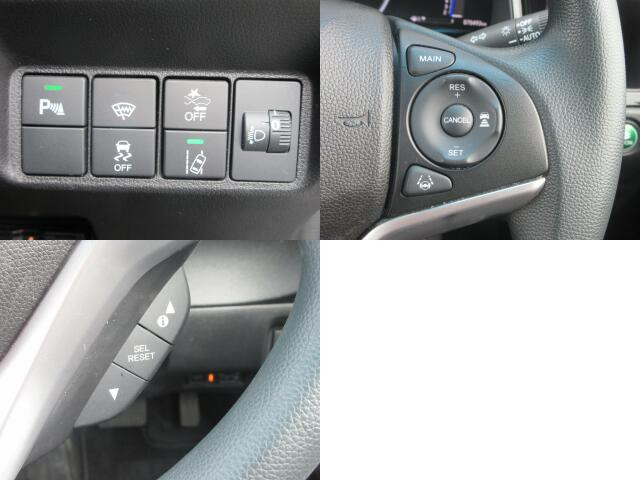 �b��̃z���_�Z���V���O���ځB���S�^�]�̋��������ł���