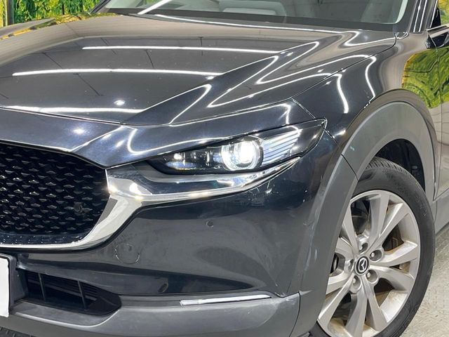 �yLED�w�b�h���C�g�z���V����ԑ��s�����ǍD�Ȏ��E���m�ۂ����S���ĉ^�]�ł��鍂�P�xLED�w�b�h���C�g�𑕔�!�_�����x�������A����d�͂��}�����Ă��܂��B