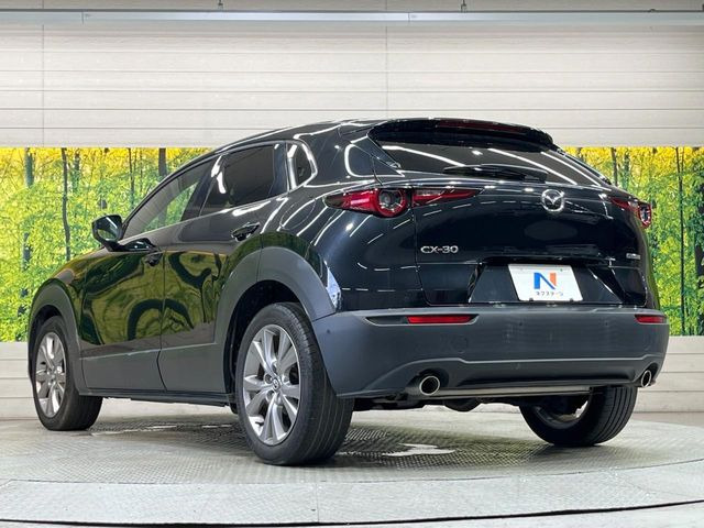 �F���܂Ɉ��S���Ă���肢��������������A���X�ł͖@��_�������𖳗��Ŏ��{�B(���o�^�ϖ��g�p�ԂȂǈꕔ�ΏۊO���������܂��B)