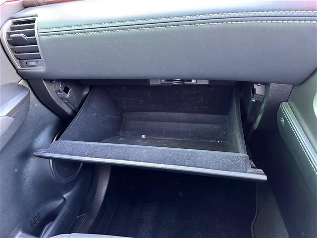 NX300h Iパッケージ