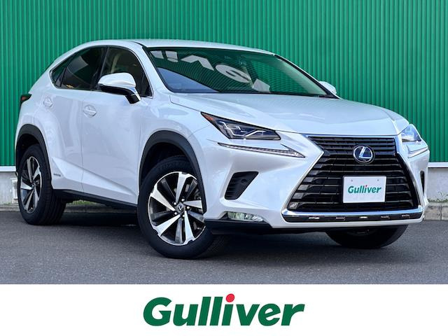 NX300h Iパッケージ