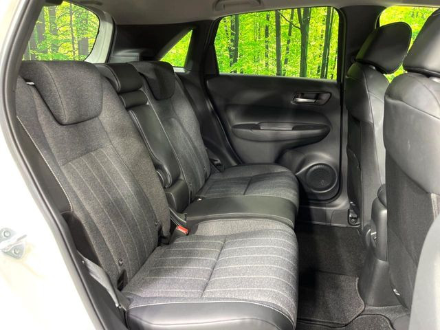 �㕔���Ȃ��C�ɂȂ�悤�ȃL�Y�E�����ւ��蓙�A�傫�ȃ_���[�W�͂Ȃ��A�ǍD�ȏ�Ԃł��B