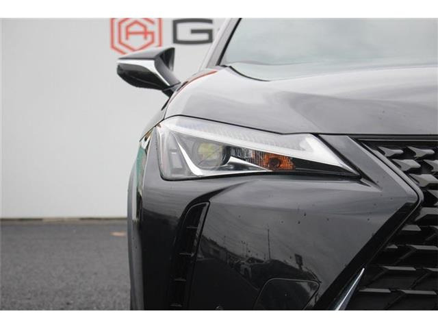 ���Ǝҗl�ւ̔̔��͂��f�肳���Ă��������܂��B �Ԍ������ԗ��̏ꍇ�́A�Ԍ����擾�������x�������z�ŕ\�����Ă���܂��B