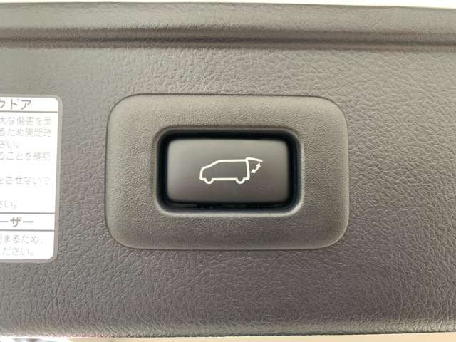 パワーバックドア(電動リアゲート)付き!!