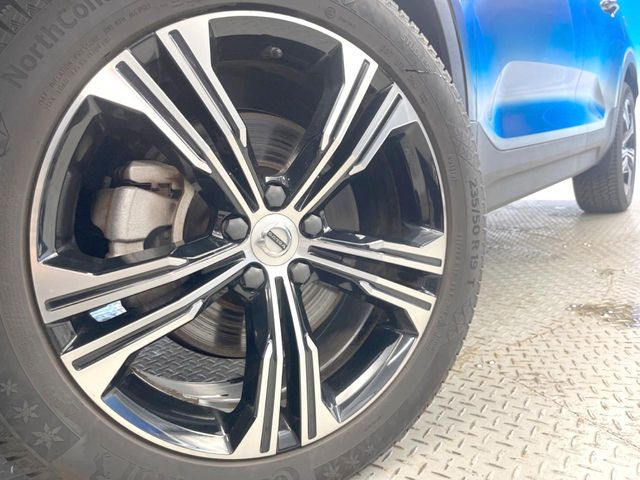 ������19�C���`�A���~�z�C�[��:�A���ԂȂ�ł͂̑�z����������x����z�C�[���Ƒ����ł�!���{�Ԃ̑���Ɋ���Ă�����ɂ����Б̊����Ē��������قǁA�������x���ł܂Ƃ܂��Ă��܂�!