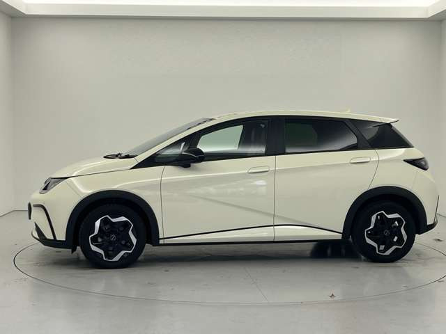 ドルフィンベースモデル