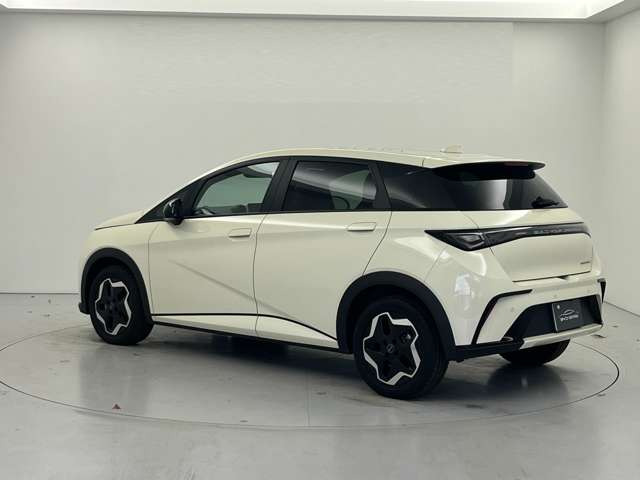 ドルフィンベースモデル