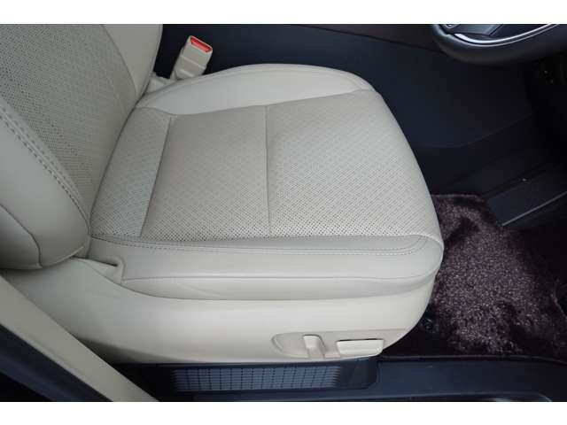 �^�]�ȁE�傫�Ȃ����ւ���Ȃǖ������ꂢ�ȏ�Ԃł��B