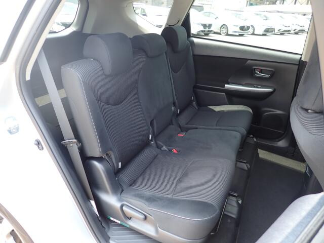 �㕔���Ȃ��傫�ȎC����Ȃ���ԗǍD�ł��B