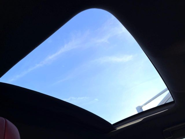 �y���[�����[�t�z�J���������Ղ�̊󏭑����A���[�����[�t����������Ă��܂�!�ԓ��ɖ�����������ꂽ��i�F���y���ވȊO�ɂ��A�ԓ��̋�C���ȒP�Ɋ��C�ł��ĉ��K�ł�!