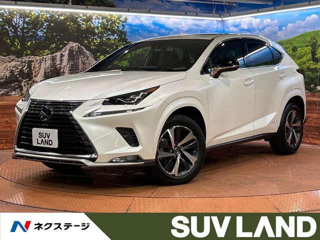 NX(レクサス) 300h スパイス&amp;シック 中古車画像