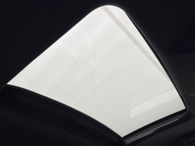 �y���[�����[�t�z�J���������Ղ�̊󏭑����A���[�����[�t����������Ă��܂�!�ԓ��ɖ�����������ꂽ��i�F���y���ވȊO�ɂ��A�ԓ��̋�C���ȒP�Ɋ��C�ł��ĉ��K�ł�!